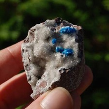 Cavansite Crystal Cluster picture