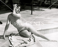 1960s Photo Print Busty Sexy Model Pinup Susie Suzy Johnson From Vogel SJ1 picture