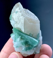 185 Carat Tourmaline Crystal With Quartz Specimen From Afghanistan picture