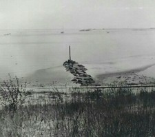 Provincetown, MA Vtg Photo Ca. 1950 View Bay Beach Artistic Image Boats picture