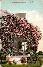 Rose Covered Porch Antique Divided Back Postcard Unposted Unused Vintage picture