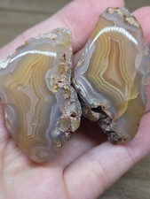 Picacho agate Pair from Mexico- Polished Halves picture