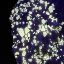FLUOBORITE. A VERY RARE FLUORESCENT FROM RUDEVILLE N.J. NICE DISPLAY PC. #3091 picture