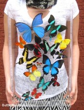 Real 3D Framed Rainbow Butterfly Art - 12x18 Acrylic Frame picture