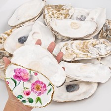 Extra Large Flat Natural Oyster Shells Bulk Crafts Vase Filler 56 Inch 20 PCS picture
