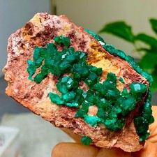 239G Natural Deep Green Grainy dioptase gemstone cluster mineral specimen picture