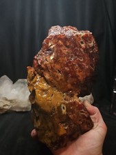 Carnelian Agate Mixed Jasper w/ Moss Inclusions XL Polished Specimen (5lbs 6oz) picture