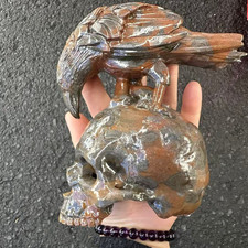 1pc Natural Quartz Carved Bird Crystal Skull Reiki Healing Decor picture
