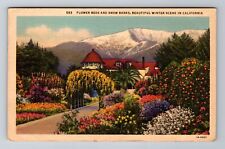 CA-California, Flower Beds & Snow Banks, Winter Scene, Vintage c1938 Postcard picture