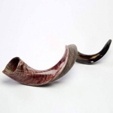 Yemenite Shofar Kudu Horn 31”-41”XL New KOSHER Made Half Polished picture