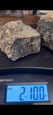 SALE 2lbs 10 ozs Turtilla Fossil Lapidary Rough Stone Slab 2 lbs 10 ozs TF2 picture