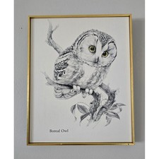 Vintage Framed Boreal Owl Print Gold Frame picture