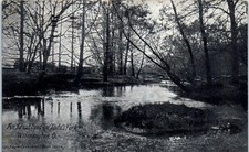 1910s An Ideal Spot on Todd's Fork Wilmington Ohio Postcard picture