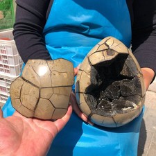13.2LB Natural Turtle Back Stone Hole Shape Dragon Crystal Crack Reiki Healing picture