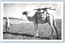 Bethlehem Palestine Postcard A Wondering Camel PJT Photo c1940's RPPC Photo picture