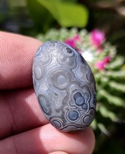 GOBI EYE AGATE, DRAMATIC MULTI-EYE GOBI DESERT AGATE  16G picture