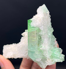Exquisite Tourmaline On Albite Collectors or Resellers picture