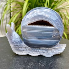500G Natural agate geode quartz crystal engrave snail skull healing gift decor picture