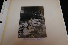 WWI German Photographs (3) - Red Baron's Grave & Ruined Western Front Towns picture