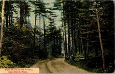 Main Walk at the Pines, Groveland MA Vintage Postcard K65 picture