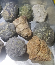 1-lb LOT = 7 to 8 Oregon Thundereggs Rough Lapidary JoNGD: Old Stock Geode Rocks picture