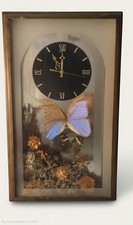 Vintage Tom Knauer Butterfly Specimen Shadow Box Wall Clock Dried Flowers Wood picture
