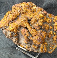 Iridescent Botryoidal Goethite Hematite La Arboleda Spain 426g Mineral picture