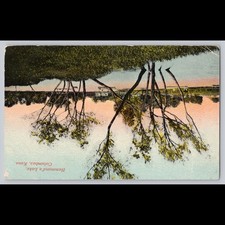 Antique Postcard Hammonds Lake Columbus Kansas Scenic View 1911 picture