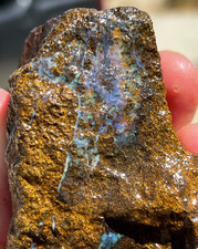 1250cts Colorful Australian Boulder Opal Large Rough Raw Specimen picture