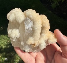 Large Cabinet Size Quartz With Calcite/Cavnic Mine/ Romania- Brilliant Pink UV picture