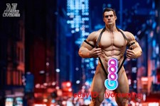 NL Studio Superman 1:6 Scale Limited Edition Resin Statue Collector's Item DC picture