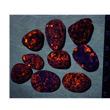 Fluorescent Sodalite Stones 9 Piece Lot 1 lb Galaxy Pattern Lake Michigan Wi picture
