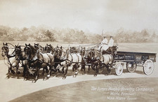 THE JAMES HANLEY BREWING COMPANY (RI) NINE HORSE TEAM ADVERTISING PHOTO 1896 picture