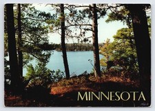 Minnesota Lake Scene Vtg MN Postcard Scenic View 4x6 Continental Posted picture