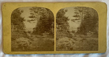 Ocean Bluff Hotel Cape Arundel Kennebunkport Maine B.S. Abbott Stereoview picture