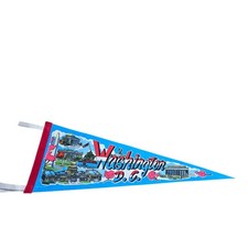 Vintage Washington DC Souvenir Felt Pennant 9