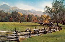 GA~GEORGIA~DILLARD~DILLARD HOUSE RESTAURANT~VIEW OF MOUNTAINS & GROUNDS picture