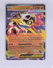 Mega Hawlucha ex Ascended Heroes Double Rare • 116/217 picture