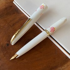 Vintage Platinum Fountain Pen Pocket Rose Pattern 18K Gold Fine Nib NOS Uninked picture