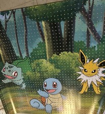 Pokemon Target Display picture