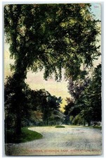 c1910 Scenic View Drive Riverside Park Minneapolis Minnesota MN Antique Postcard picture