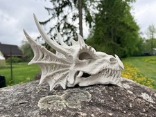 Dragon Skull 3d Printed picture