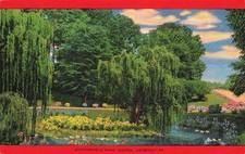 FLOWERS IN BLOOM AT BACONSFIELD PARK POSTCARD MACON GA GEORGIA 1930s picture