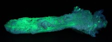 Gypsum Selenite Brilliant Fluorescent UV Ojuela Mine Mexico COA 7610 picture