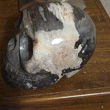 Massive Natural Petrified Wood Skull 12LB+ Real Fossil Carved Stone Decor Rare picture