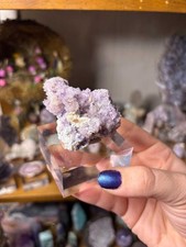 Lavender Purple Selenite Cluster | Natural Gypsum Crystal | picture