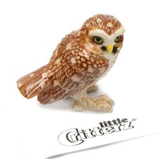 Little Critterz Owl - Burrowing Owl 