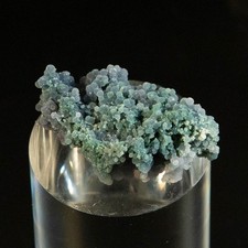 28g Rare Green Grape Agate Specimen - Natural Purple Multicolored Botryoidal Cha picture