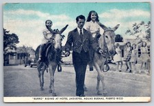 Aguas Buenas Puerto Rico Hotel Jagueyes Burro Riding Postcard picture