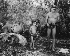 TARZAN AND THE VALLEY OF GOLD PRINTS AND POSTERS 105094 picture